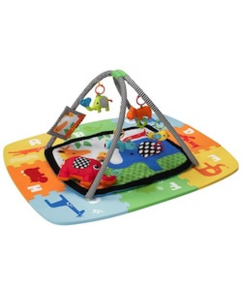 Infant Activity Mat